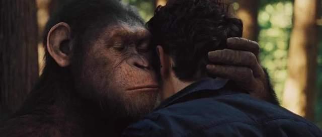 猩球崛起4在线观看,终极之战在线观影指南：揭秘猿类革命的高潮篇章  第1张